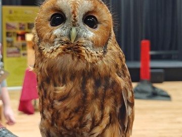 Noc sów 2026 Zapolice, 